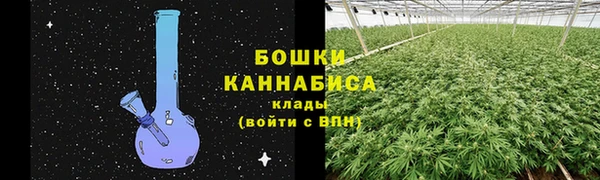 дурь Володарск